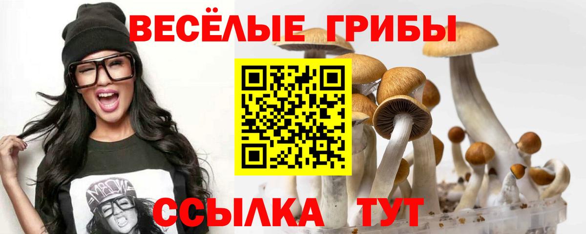 Галлюциногенные грибы Magic Shrooms  Псилоцибиновые грибы мухоморы  Янаул  Вход с VPN 